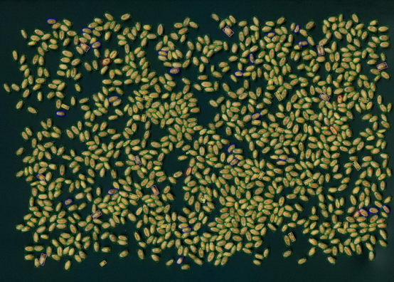 С^Ʒ|(zh)Ǚzy(c)xSC-X